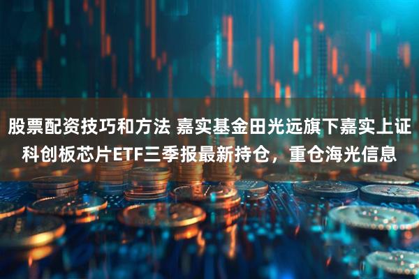 股票配资技巧和方法 嘉实基金田光远旗下嘉实上证科创板芯片ETF三季报最新持仓，重仓海光信息