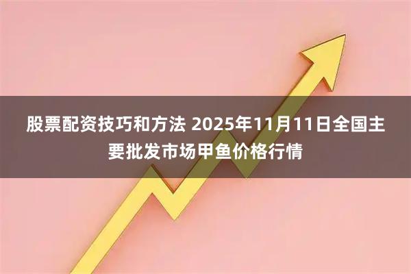 股票配资技巧和方法 2025年11月11日全国主要批发市场甲鱼价格行情