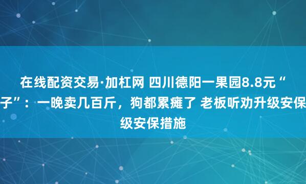 在线配资交易·加杠网 四川德阳一果园8.8元“偷橘子”：一晚卖几百斤，狗都累瘫了 老板听劝升级安保措施